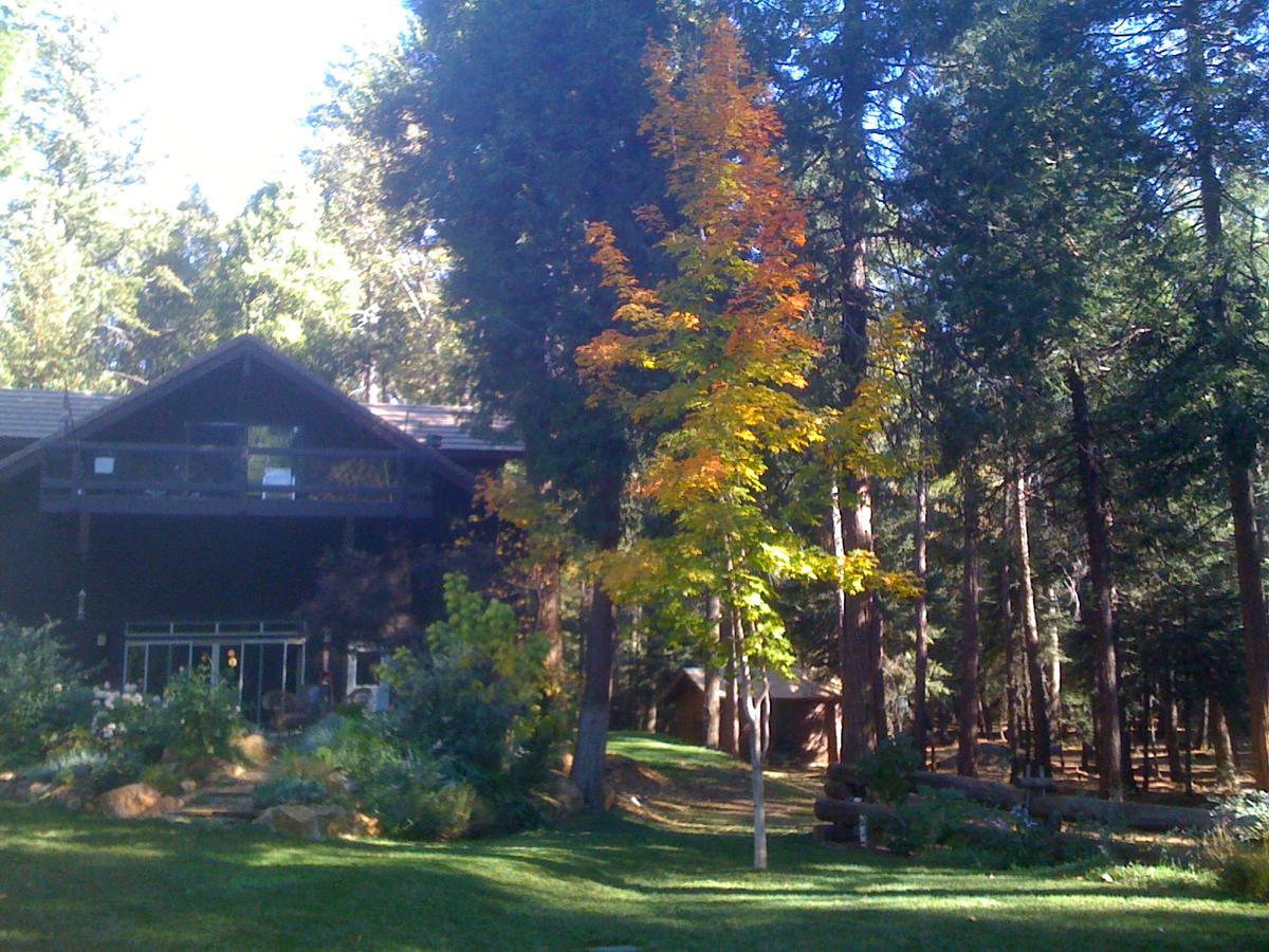Harmony Ridge Lodge Nevada City Exterior photo