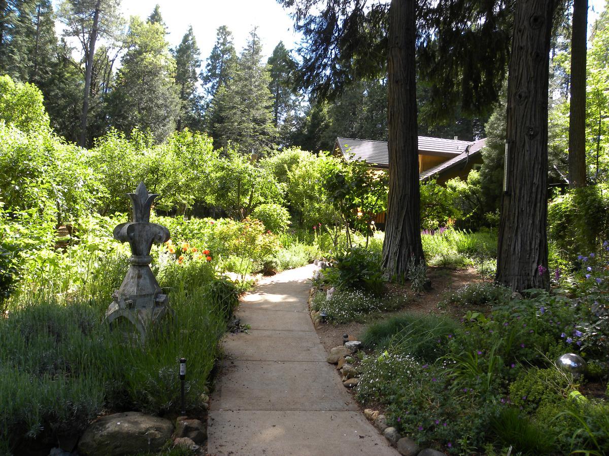Harmony Ridge Lodge Nevada City Exterior photo