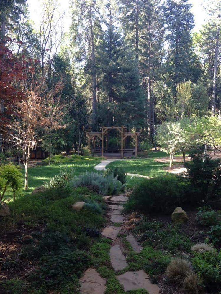 Harmony Ridge Lodge Nevada City Exterior photo